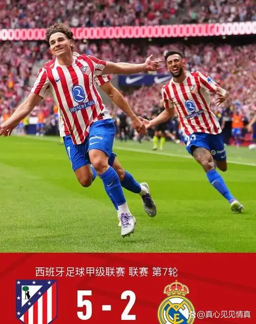 雨燕体育在线直播